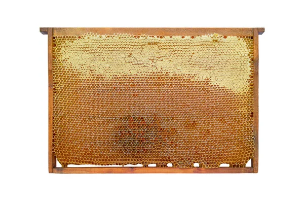 Bee Frame Honey White Background Fotos de stock libres de derechos