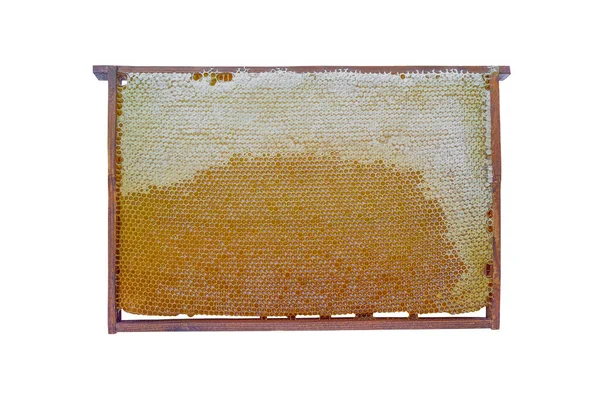 Isolate Bee Frame Filled Honey Fotos de stock