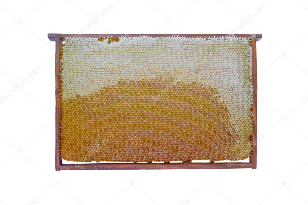 the isolate of a bee frame is filled with honey