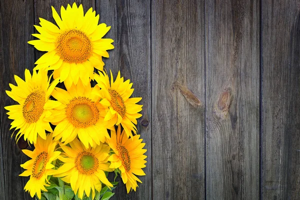 Bouquet Sunflowers Background Wooden Wall — Stok fotoğraf