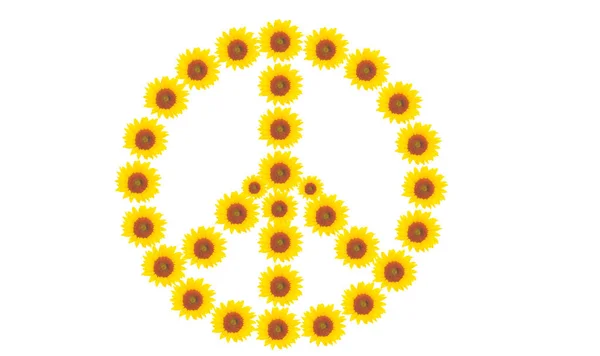 Peace Symbol Sunflower Isolate — Fotografia de Stock