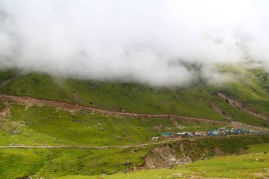 Yeşil vadi ve beyaz sis