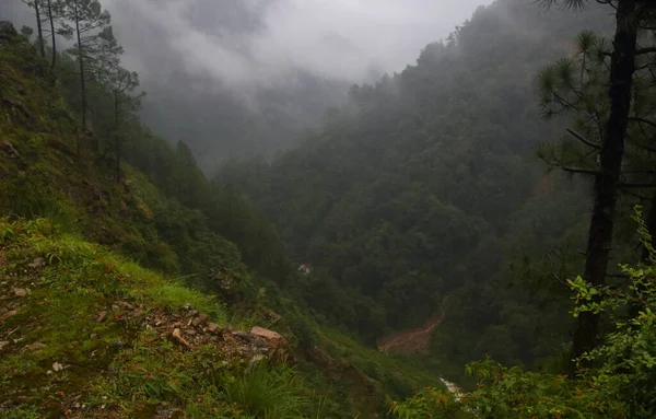 Himalayalar 'daki koyu yeşil vadi