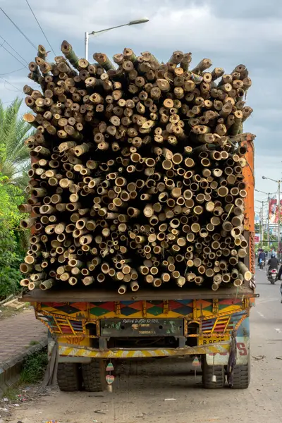 Bir kamyonda saklanan eski kahverengi renkli bambu.