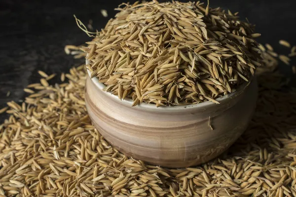 Eine Schüssel Voller Bio Reispflanzen Mit Dunklem Hintergrund Selektiver Fokus — Stockfoto