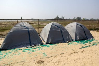 Mandarmani Sahili 'nde turistler çadır kurar. Sabah doğanın tadını çıkarırlar..