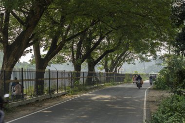 12 Aralık 2021, Narendrapur, Batı Bengal, Hindistan: Yol kenarı ağaçları ve hareket halindeki iki tekerlekli güzel bir yol.