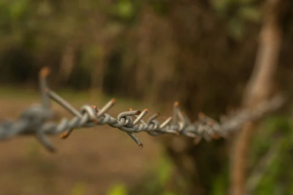 Seçici odaklı metal tel örgüler. Bölünme kavramı.