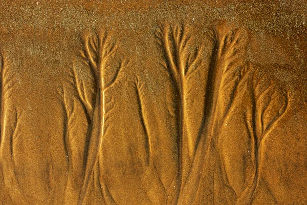 Дизайн Текстури Піску Морському Пляжі Фону Хвильовий Візерунок Океанського Піску — стокове фото