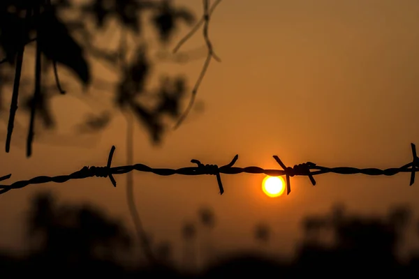 Metal wire fence with sunset in background selective focus. Concept of partition.