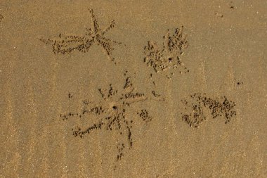 Arka plan için deniz sahilinde kum dokusu tasarımı. Sahildeki okyanus kumlarının dalga desenleri.