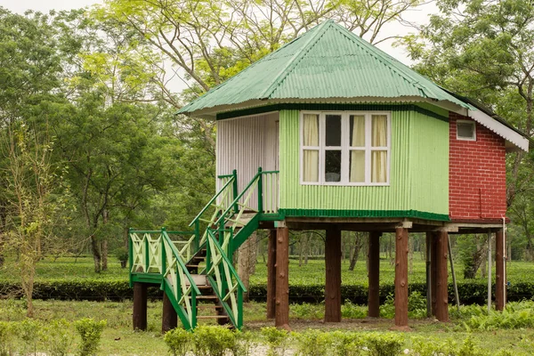 Garumara Ulusal Parkı, Batı Bengal, Hindistan 'daki ünlü Dhupjhota fil kampında güzel bir ahşap kulübe..