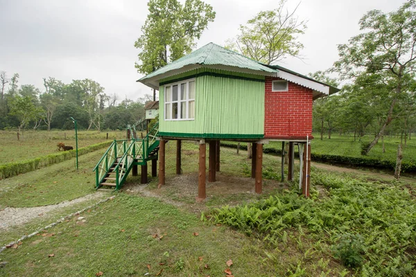 Ein Paar Schöne Holzhütten Berühmten Dhupjhota Elefantencamp Garumara Nationalpark Westbengalen — Stockfoto