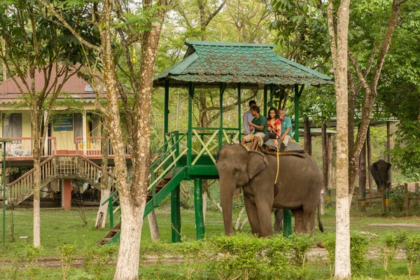 2022 웨스트 벵골의 인도의 가르마라 공원에서 코끼리를 사파리로 관광객들 웨스트 — 스톡 사진