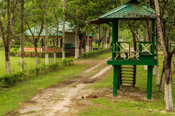 Elefantfärden Trä Vid Berömda Elefantlägret Dhupjhota Elephant Camp Garumara Nationalpark — Stockfoto