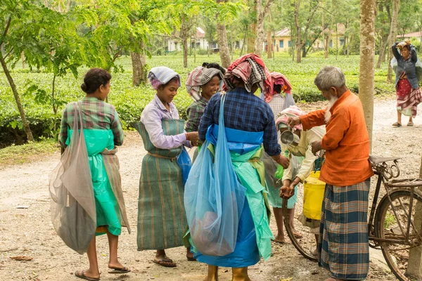 6 Nisan 2022, Dhupjhora, Batı Bengal, Hindistan: Yaşlı bir adam Dhupjhora, Batı Bengal 'deki ölçüm noktası yakınlarındaki kadın çay bahçesine dinkleme suyu servis ediyor..