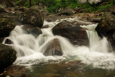 Güzel bir manzaranın ve bir dağ nehrinin uzun pozlama fotoğrafları..