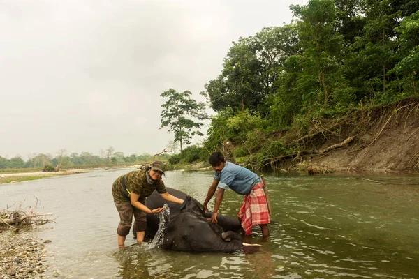6 Nisan 2022, Dhupjhora, Batı Bengal, Hindistan: Genç bir dişi turist, bakıcısı veya eğitmeniyle nehirde yüzen bir fille eğleniyor.