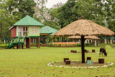 Dhupjhora fil kampında çimenlikte otururken çok güzel bir şemsiye şekli var. Arka planda orman var..