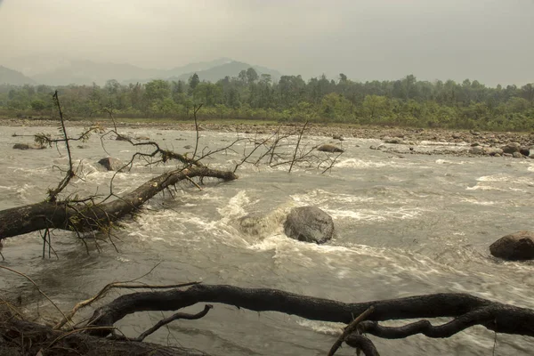 Güzel Murti nehri sağanak yağmurdan sonra