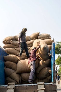 2 Şubat 2022, Mandarmani, Doğu Midnapur, Batı Bengal, Hindistan: Mandermani sahilinde içi kurutulmuş balık dolu jüt çantaları yükleyen bir işçi.
