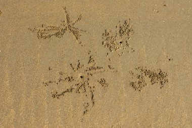 Arka plan için deniz sahilinde kum dokusu tasarımı. Sahildeki okyanus kumlarının dalga desenleri.