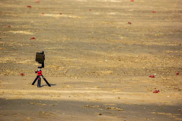 Мобильный Телефон Небольшом Штативе Фотографией Красного Краба Пляже Мандермани — стоковое фото