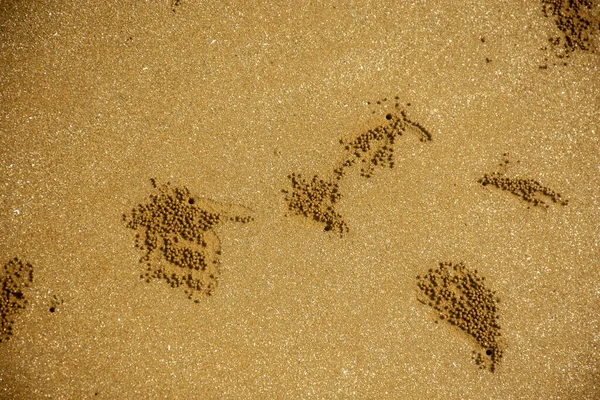 Дизайн Текстуры Морском Пляже Фона Волновой Рисунок Океанского Песка Пляже — стоковое фото