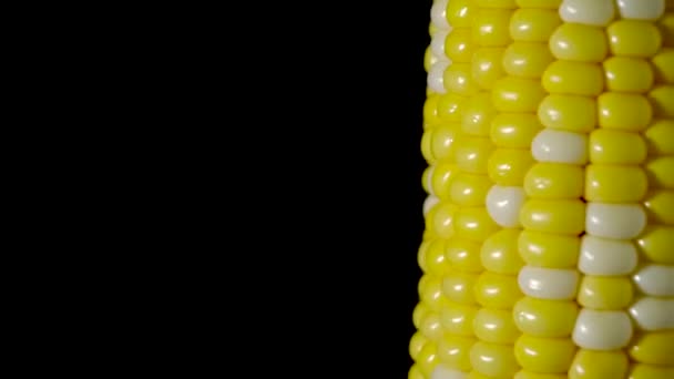 Fresh Corn Black Background Peeled Corn Cob Close Rotation Copy — Stock Video