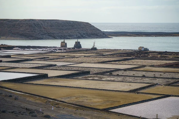 Solniczki Janubio Wyspie Lanzarote — Zdjęcie stockowe