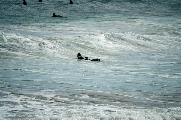 在加那利群岛的兰萨罗特岛 身穿黑色湿衣的年轻人和他的董事会一起冲浪 — 图库照片