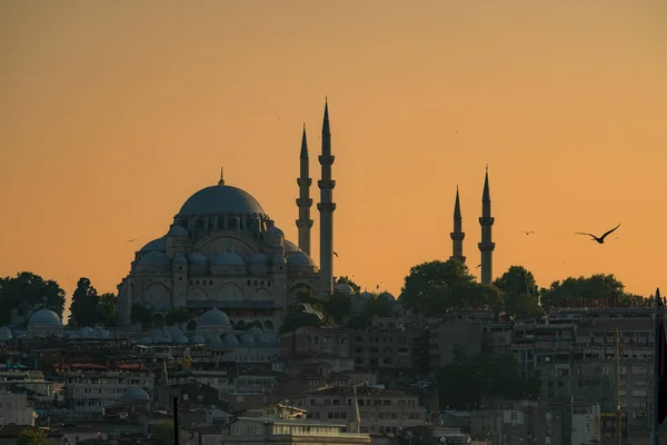 Suleiman Moskee Bij Zonsondergang Vanaf Galata Brug Stad Istanbul Turkije — Stockfoto