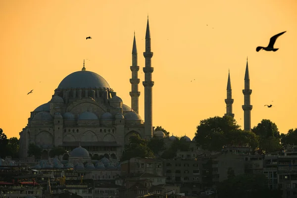 Suleiman Mosque Sunset Galata Bridge City Istanbul Turkey — Stock fotografie