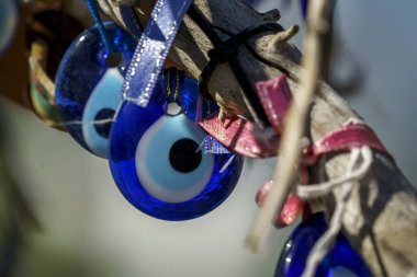 Turkish eye of blue and white glass hanging on a tree in the tourist areas of Cappadocia