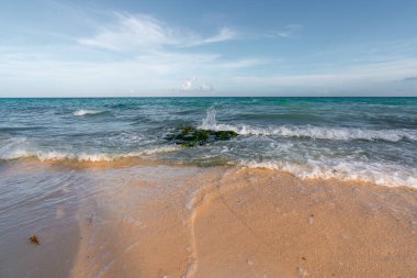 Dalgalar Karayip Denizi kıyısındaki bir kayaya çarpar - deniz manzarası