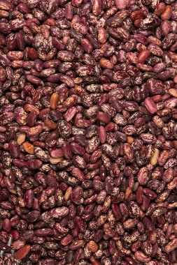 Cereals from grains for proper nutrition close-up top view background