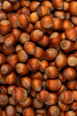 Peeled fresh golden hazelnuts close up in bulk top view for background