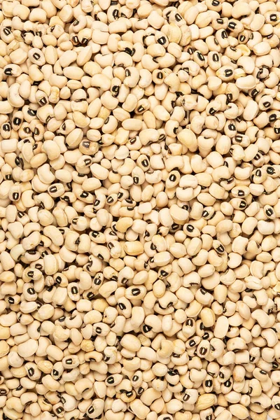 Cereals Grains Proper Nutrition Close Top View Background — Fotografia de Stock
