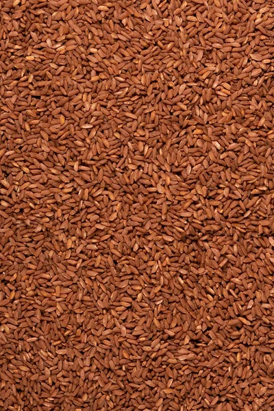適切な栄養のための穀物からの穀物クローズアップトップビューの背景 — ストック写真