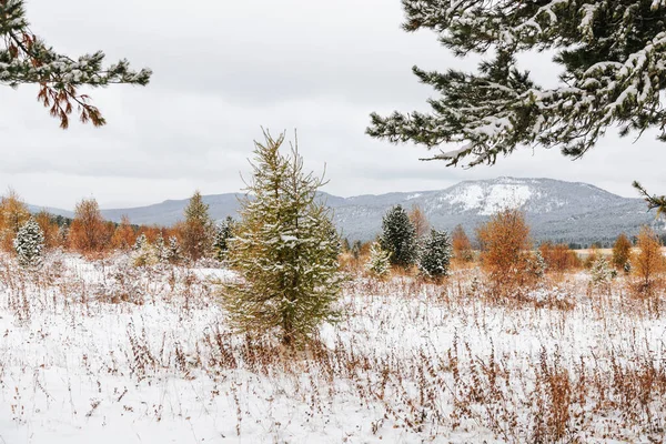 High Cliffs Mountains Snow Peaks Altai Autumn — Stock Fotó