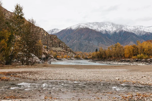 Mountain River Surrounded High Rocks Altai Autumn — 스톡 사진