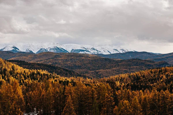 Mountain Landscapes Beautiful Views Rocks Peaks Altai Autumn — стокове фото