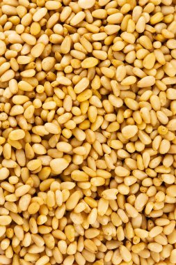 Peeled golden pine nuts top view background