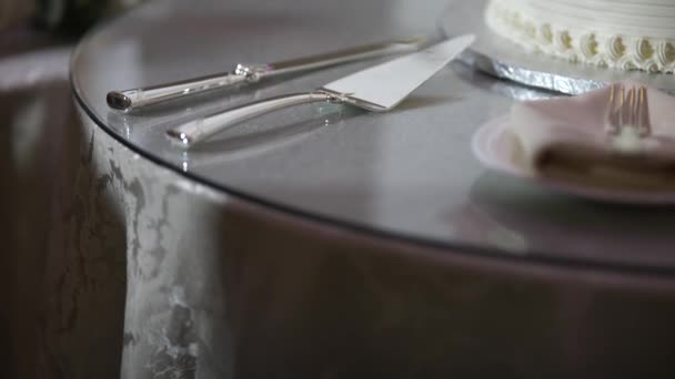 Primer plano de pastel de boda maravilloso — Vídeos de Stock