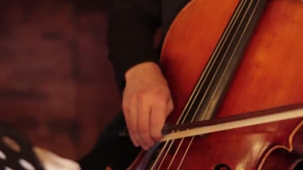 Hands of a professional double bass musician playing at the wedding — Stock Video