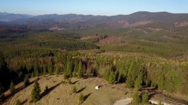Hava manzarası: Karpatlar 'ın dağlarında yürüyen güzel bir çift.