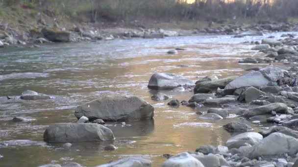 Karpatya 'da Dağ Nehri Kara Çerçeve — Stok video