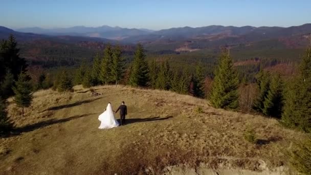 空中ビュー:美しいカップルカルパティア4kの山の中を歩く — ストック動画