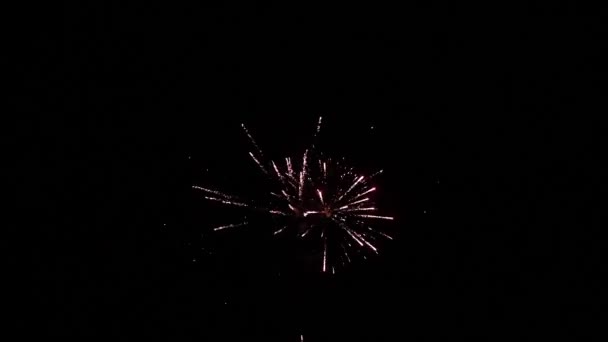 Multicolored fireworks in night sky. fireworks with bokeh lights in night sky. — Video Stock