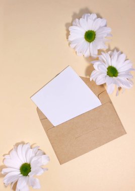 Pastel arka planı üzerinde boş kağıt olan zarf. Kopya alanı olan klasik yaz resmi